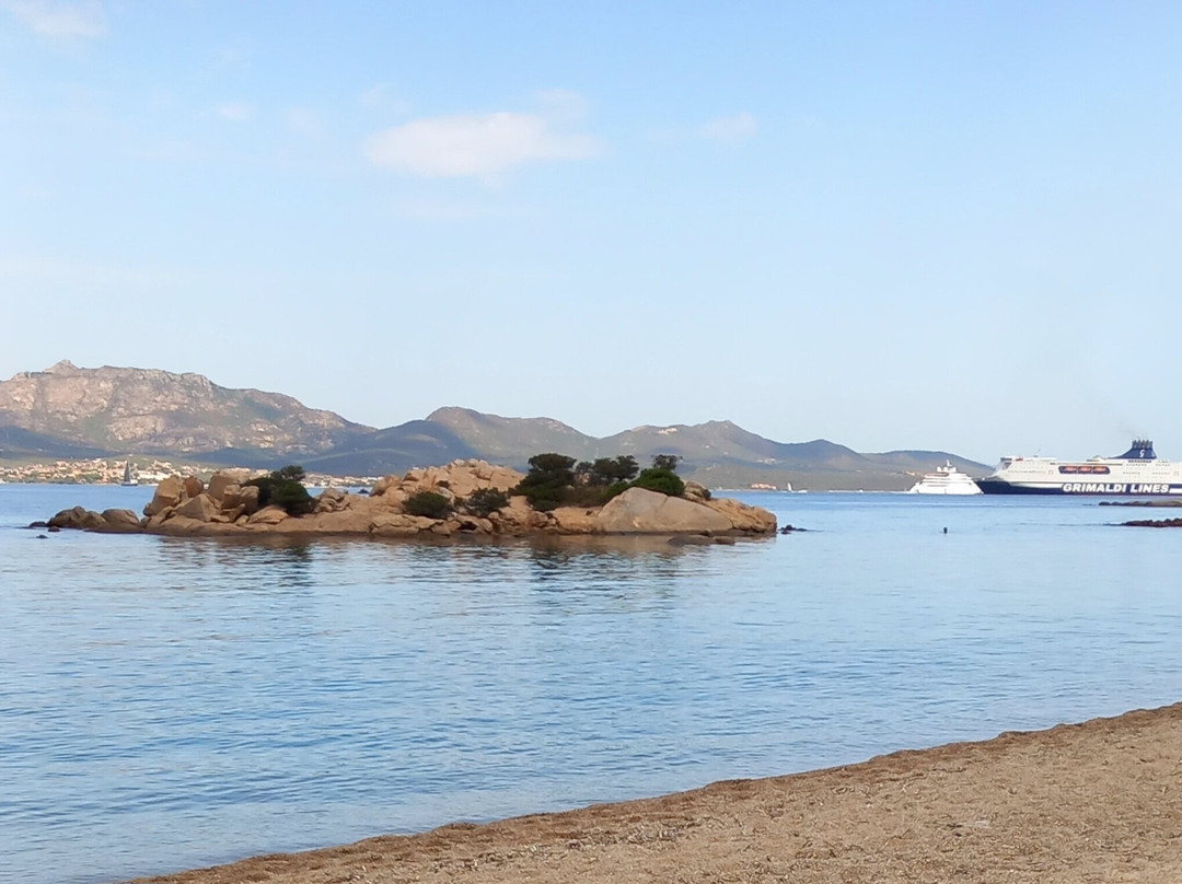 Spiaggia Li Cuncheddi-奥尔比亚必去景点