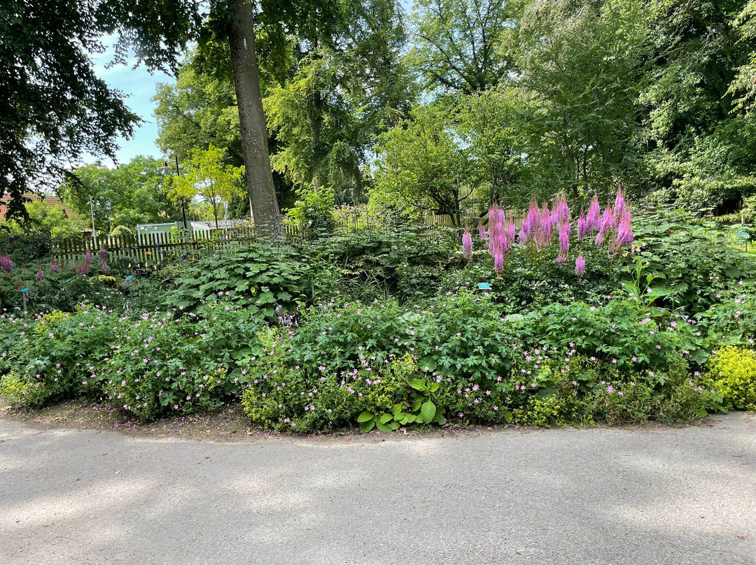 Botanical Gardens (Botaniska Tradgarden)-隆德必去景点