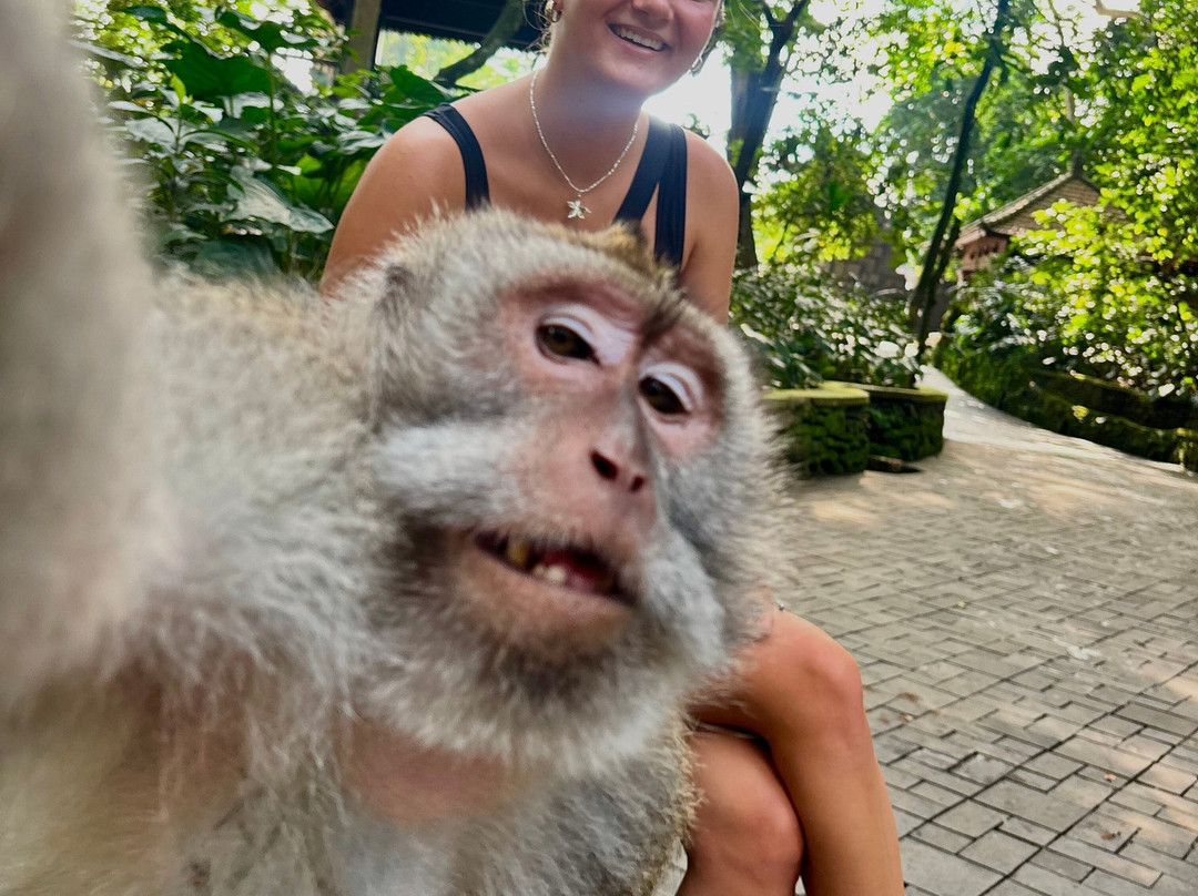 Juna Bali Transport-Kedisan必去景点