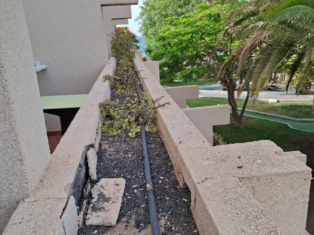 Hotel Beatriz Playa & Spa主图