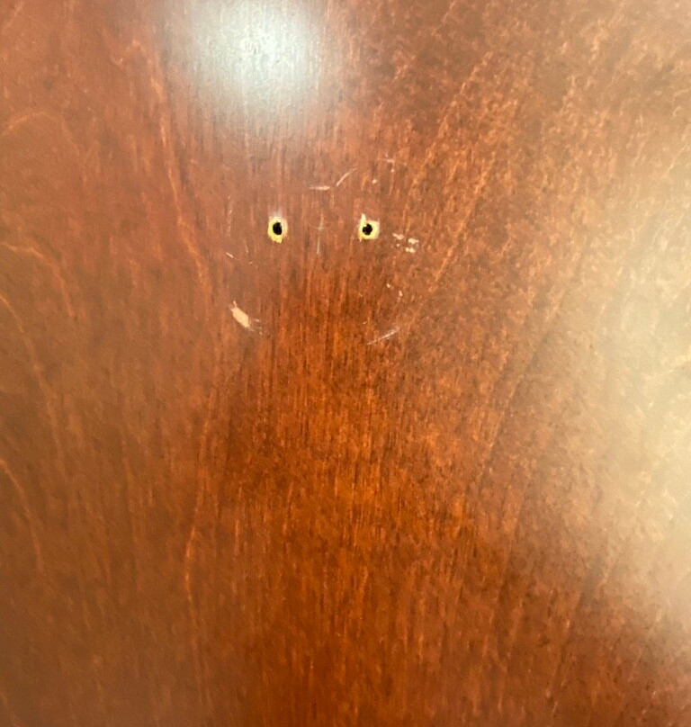 Holiday Inn Express & Suites Dothan North By IHG主图