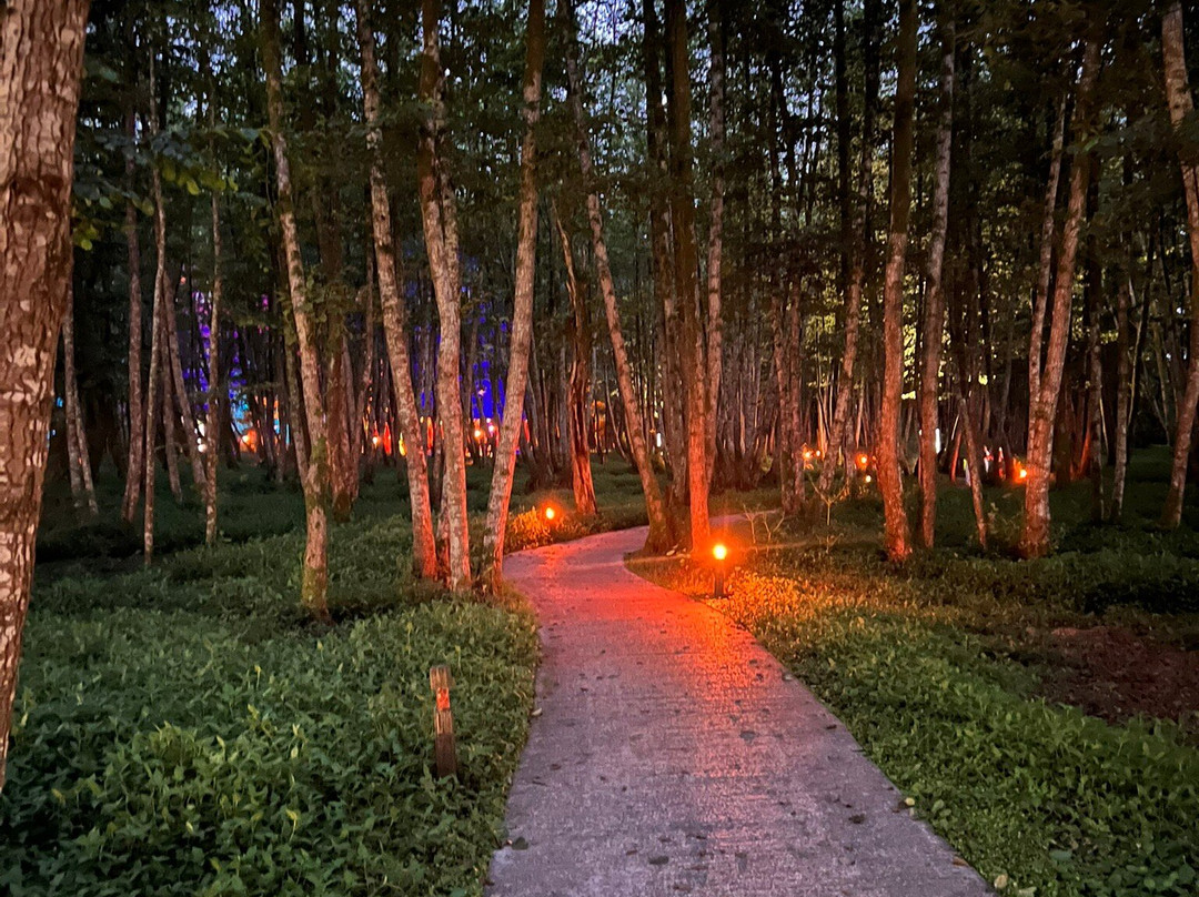 Musicians Park-Shekvetili必去景点