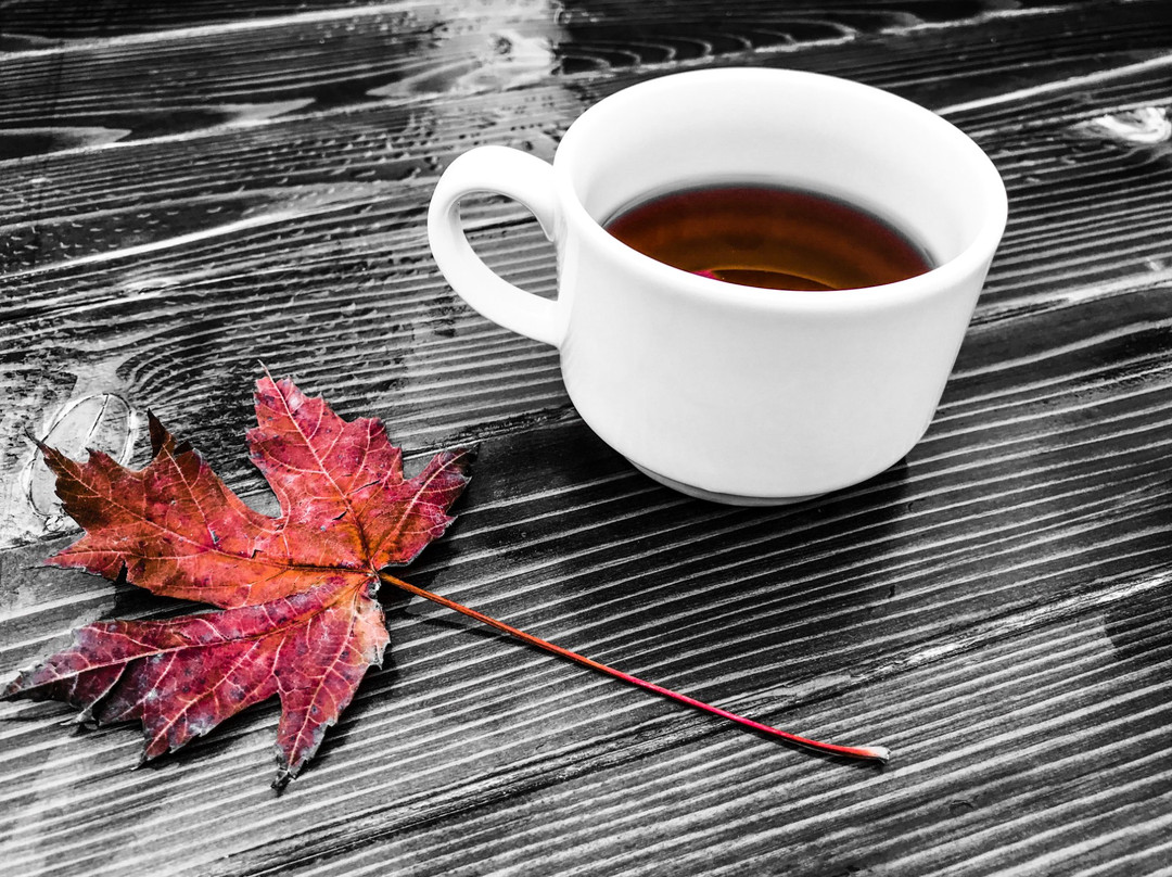 Narven Termal Kasaba主图