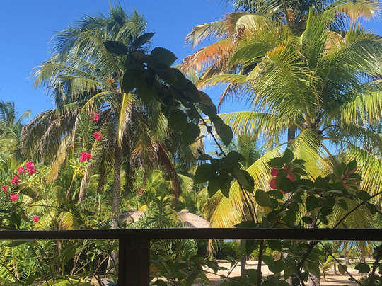 Pousada Origami主图