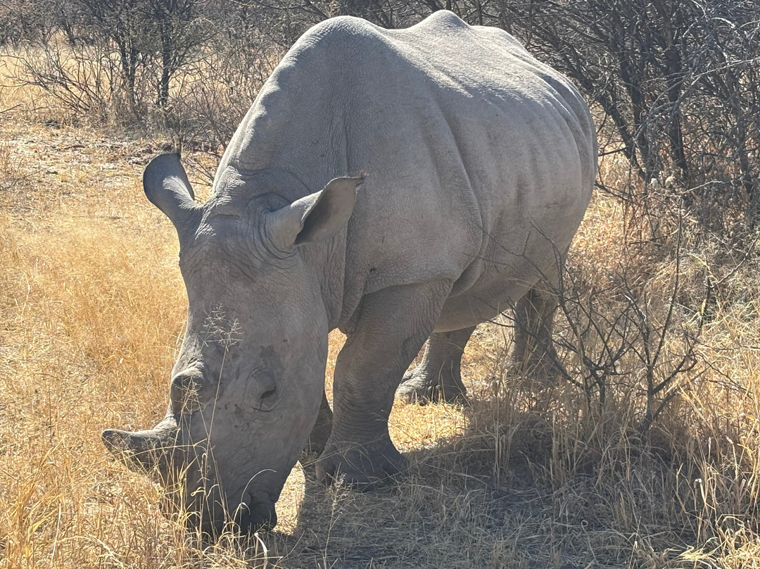 Okangala Tours & Safaris-华维斯湾必去景点