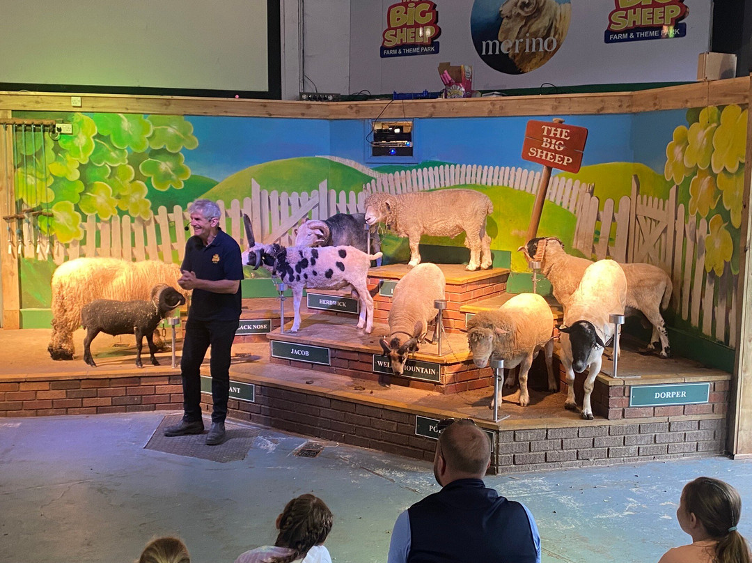 The Big Sheep.-比迪福德必去景点