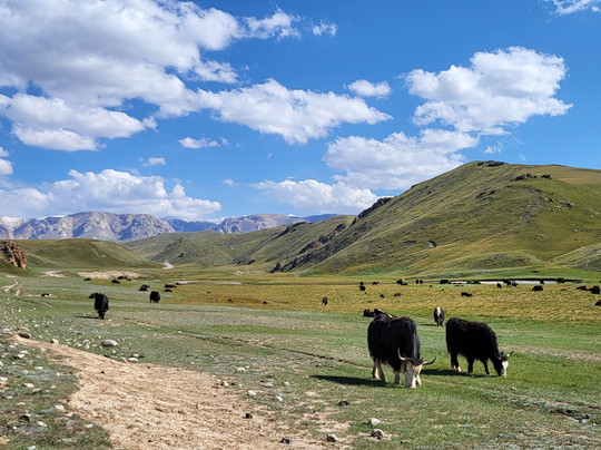 Too.kg-比斯凯克必去景点