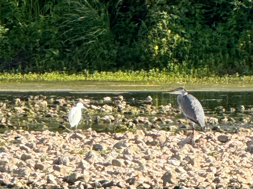 Passeurs de Loire-Sigloy必去景点