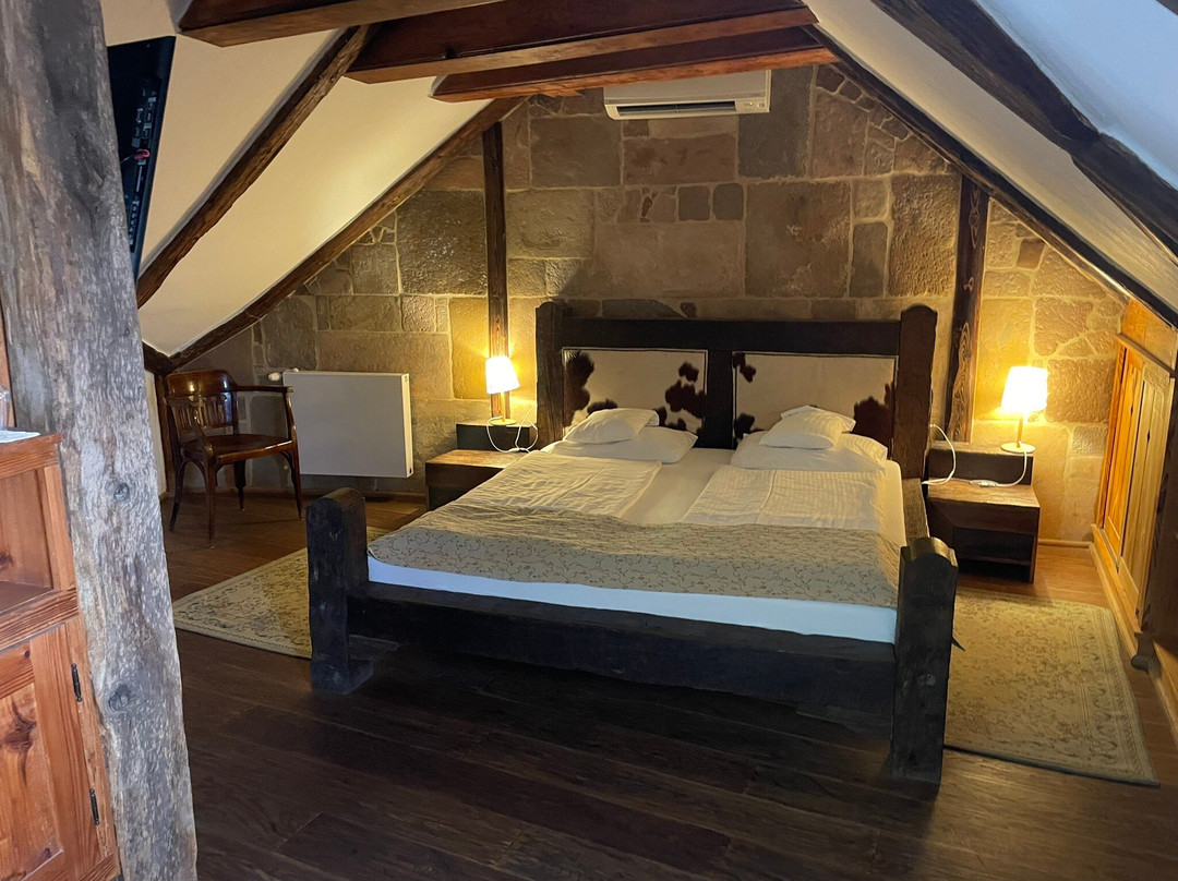 Halasi Pince Panzio主图