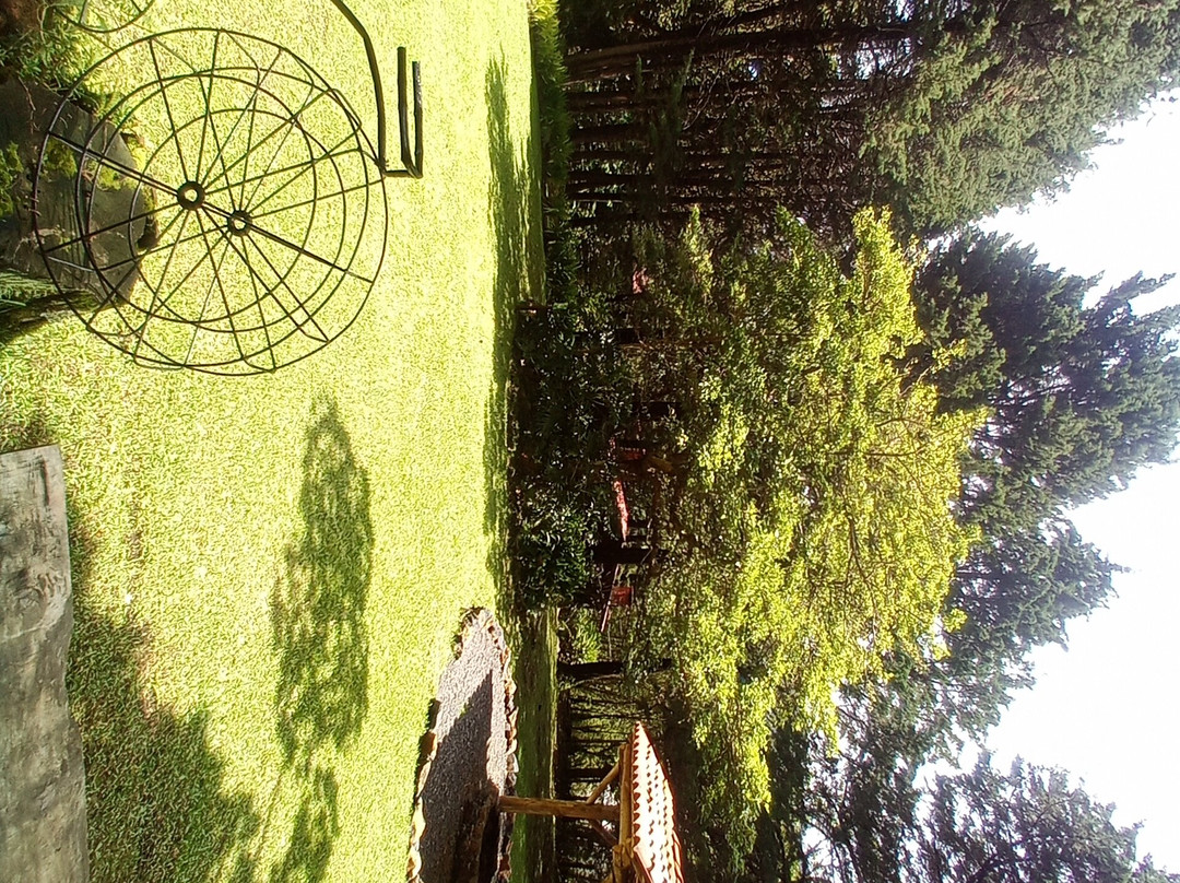 Cabañas Las Ardillas主图