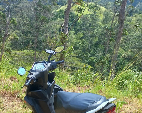 Freek Holidays-康提必去景点