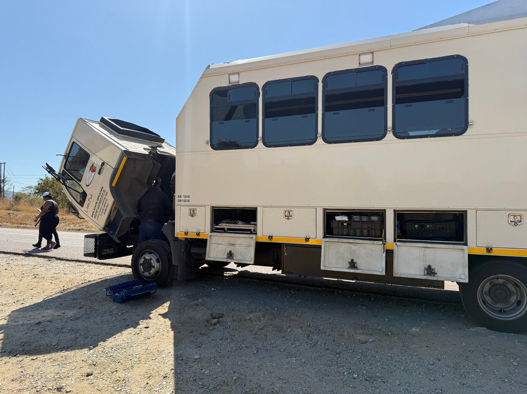 Acacia Africa-开普敦中心区必去景点