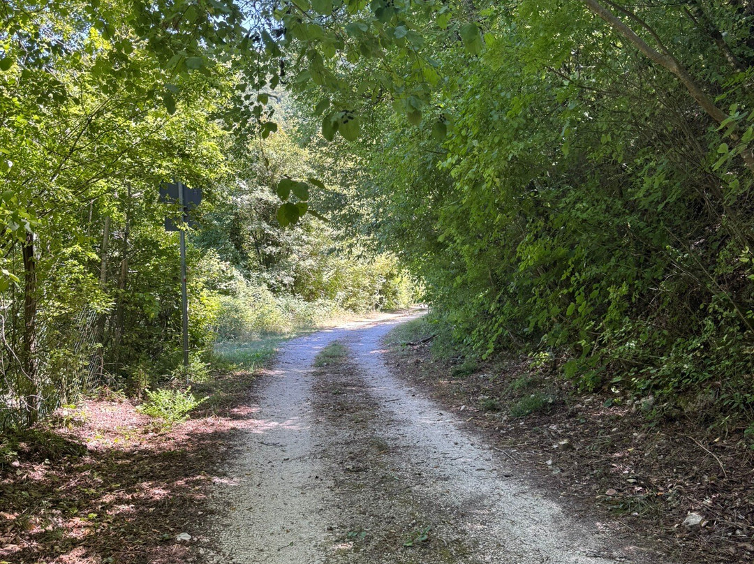 Sentiero della Ferrovia-诺尔恰必去景点