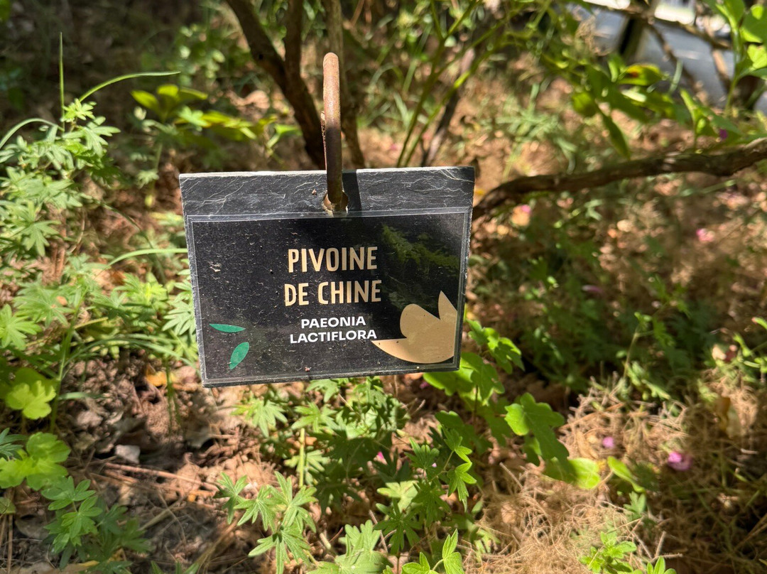 Les Jardins de Colette-Varetz必去景点