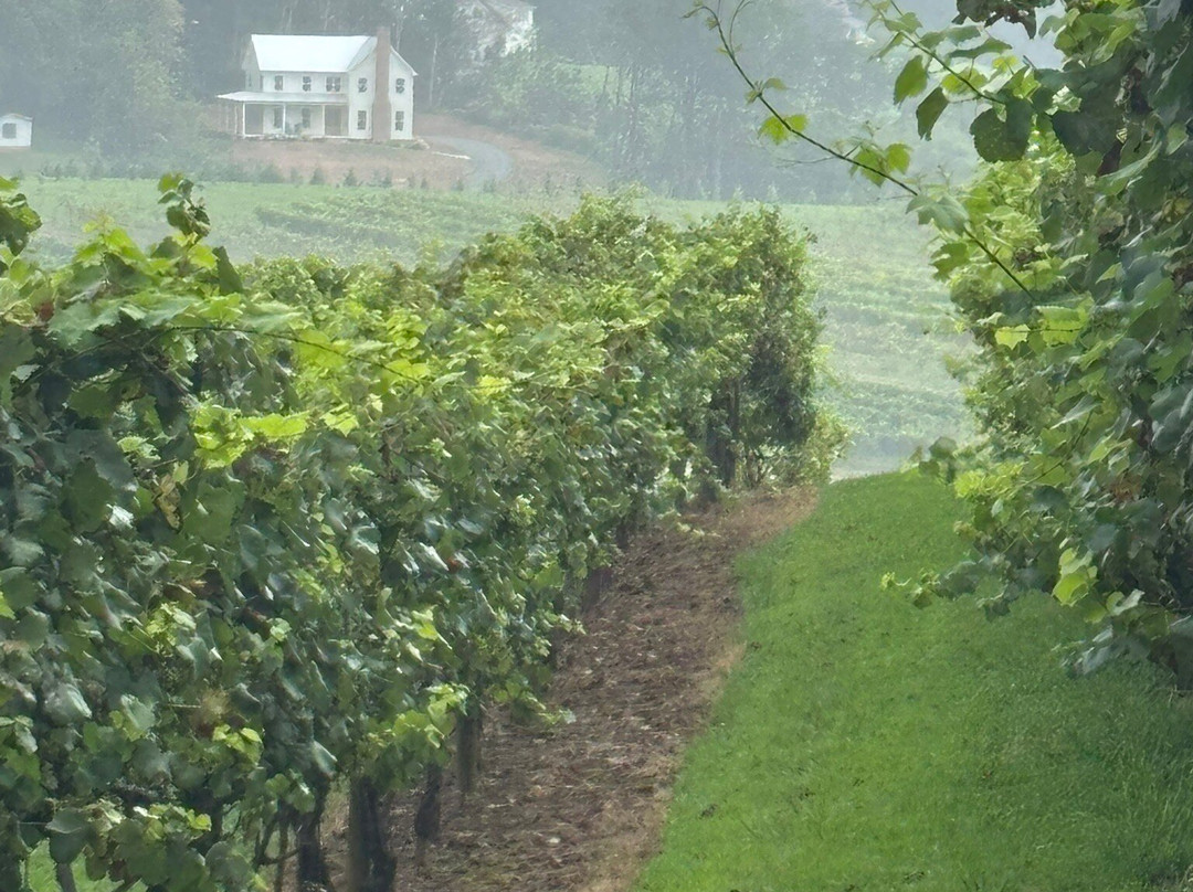 Frogtown Cellars-达洛尼加必去景点