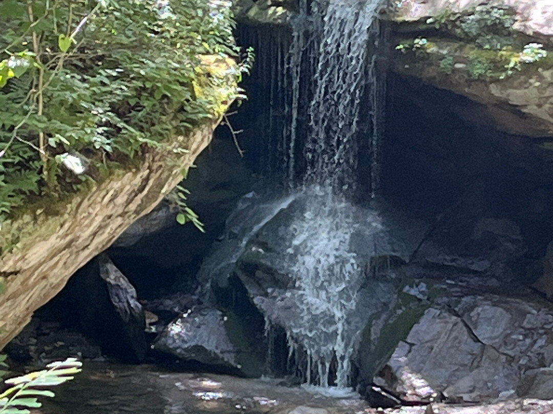 Otter Falls-Seven Devils必去景点