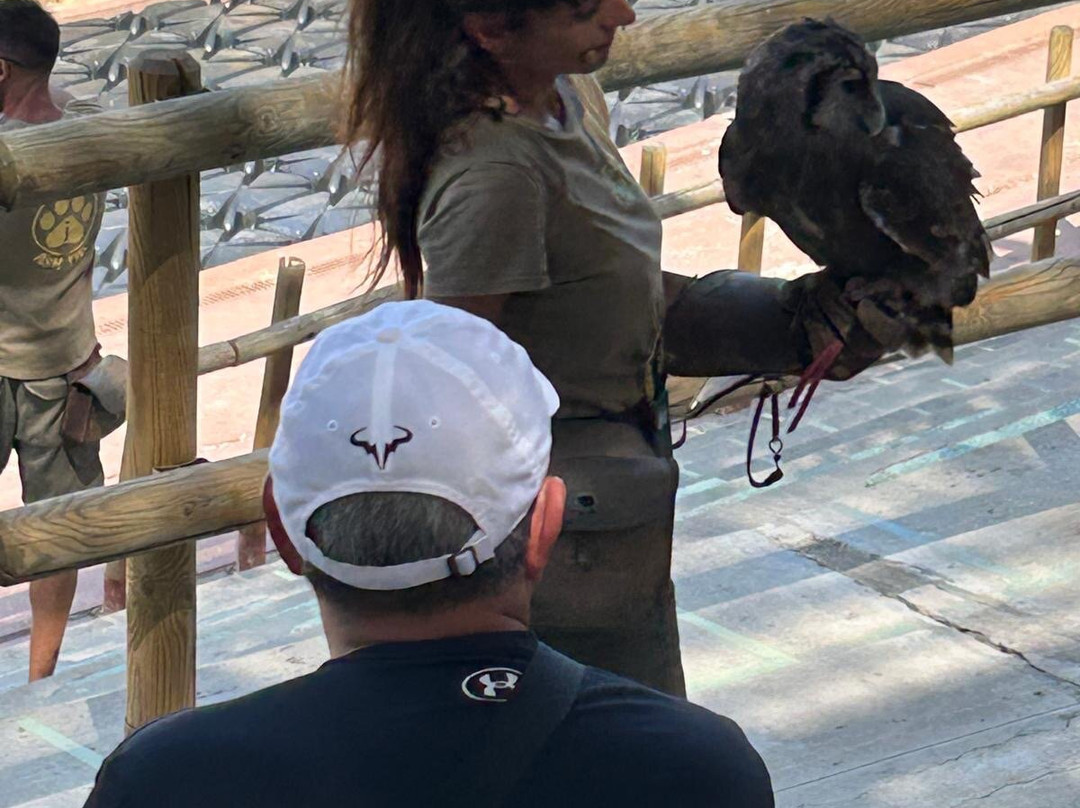 Terra Natura Benidorm-贝尼多姆必去景点