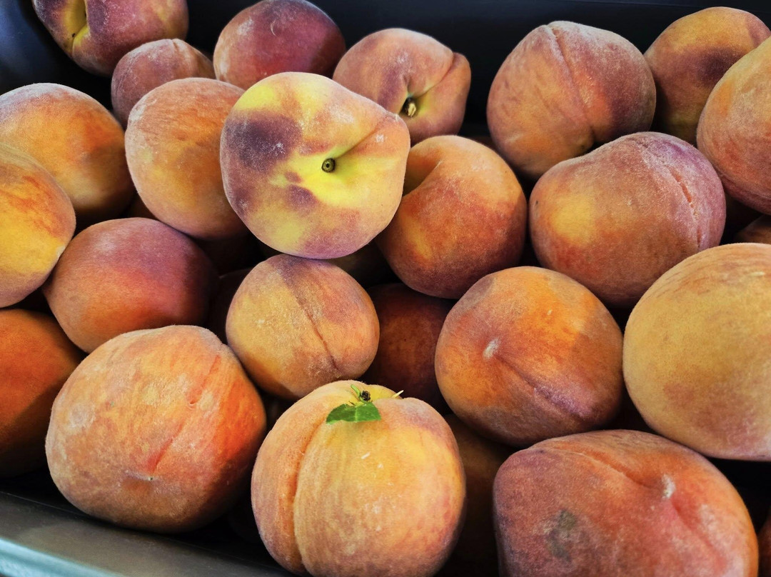 Massanutten Country Corner-卢雷必去景点