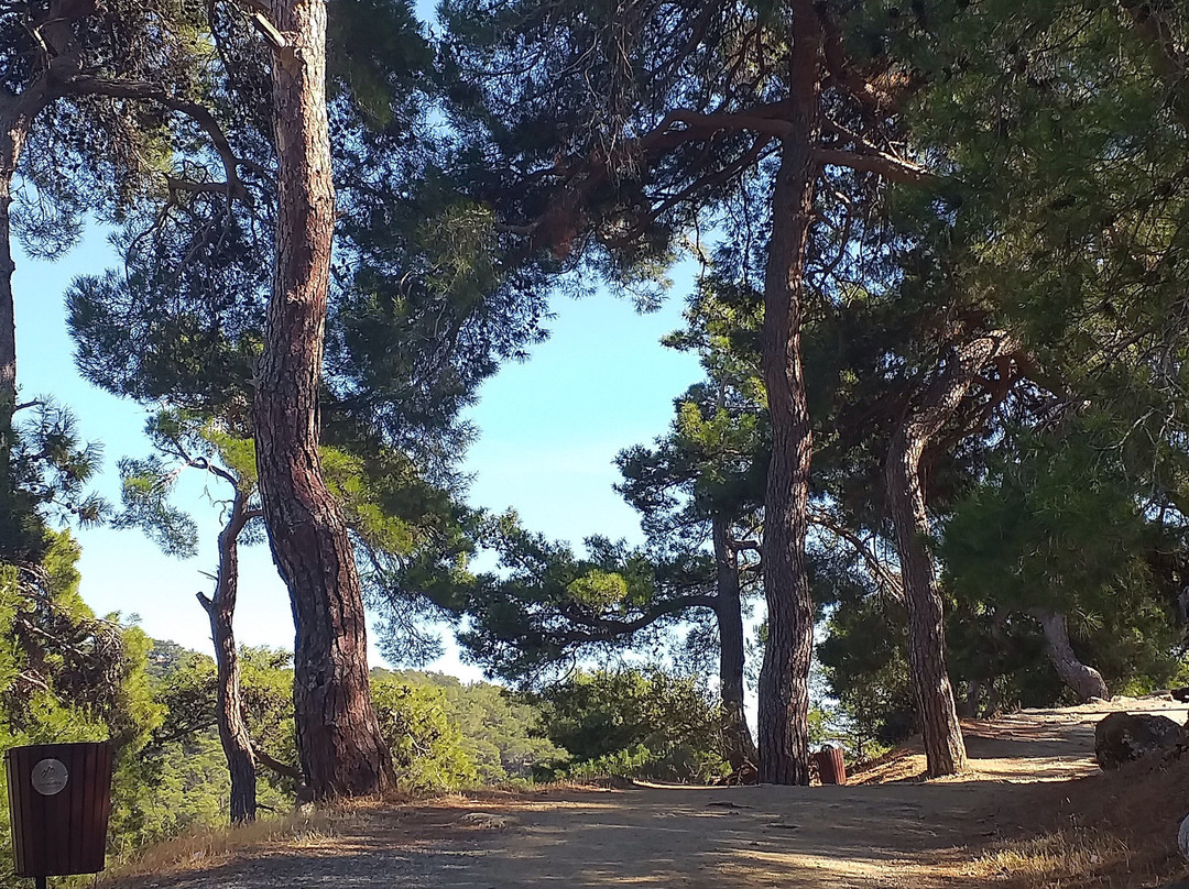 Zeus Altarı-埃德雷米特必去景点