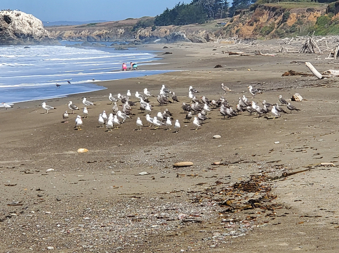 San Simeon State Park-圣西蒙必去景点