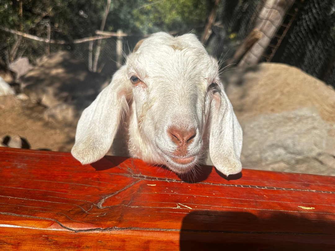 Parque Granjaventura-圣地亚哥必去景点