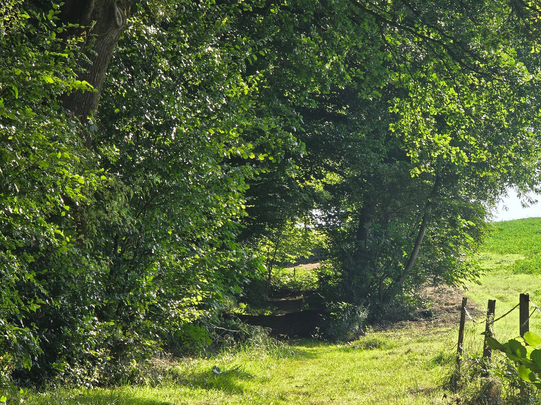 Landhotel Windlicht主图