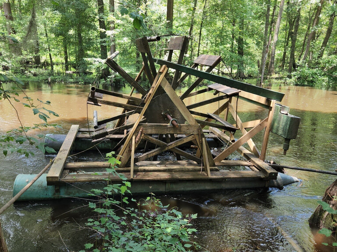 Edisto Memorial Gardens-奥兰治堡必去景点