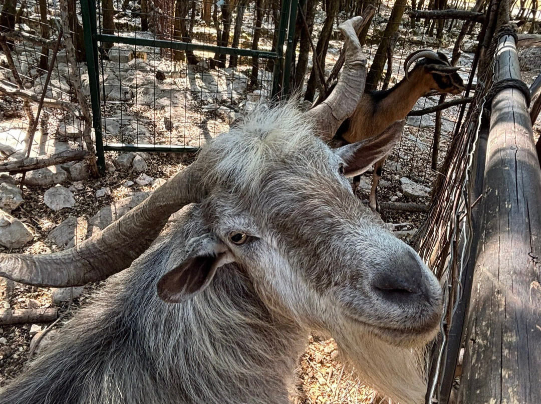 Odysseus Theme Park-萨米必去景点