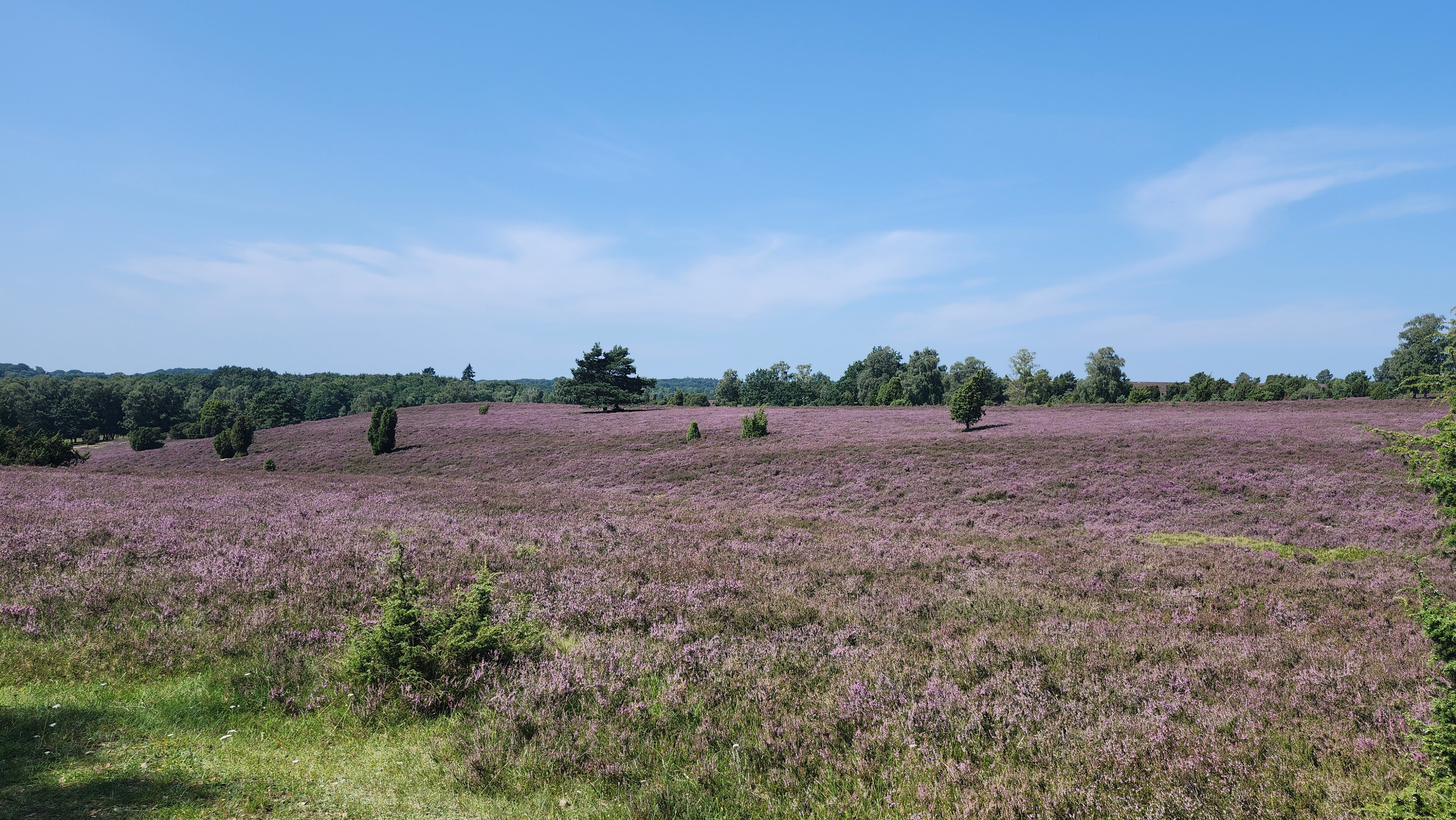 Gastehaus Sudheide-官方
