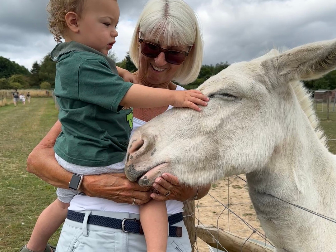 Melbourne Animal Farm-Melbourne必去景点