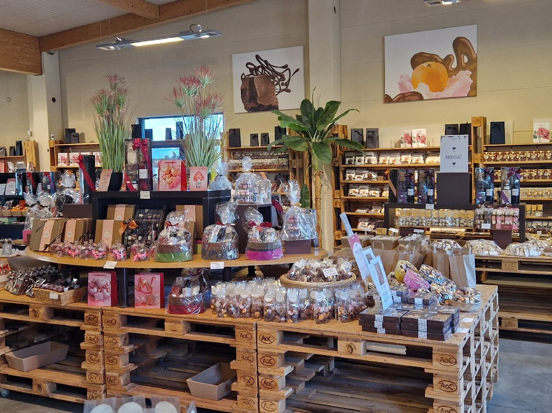 Art of Chocolate-沃特海姆必去景点