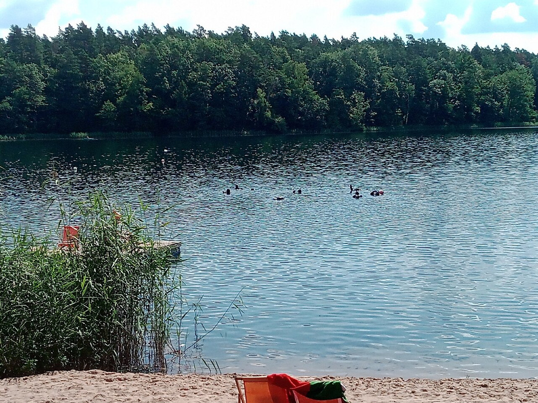 Ośrodek Wypoczynkowy Nemo-Dzwierzuty必去景点