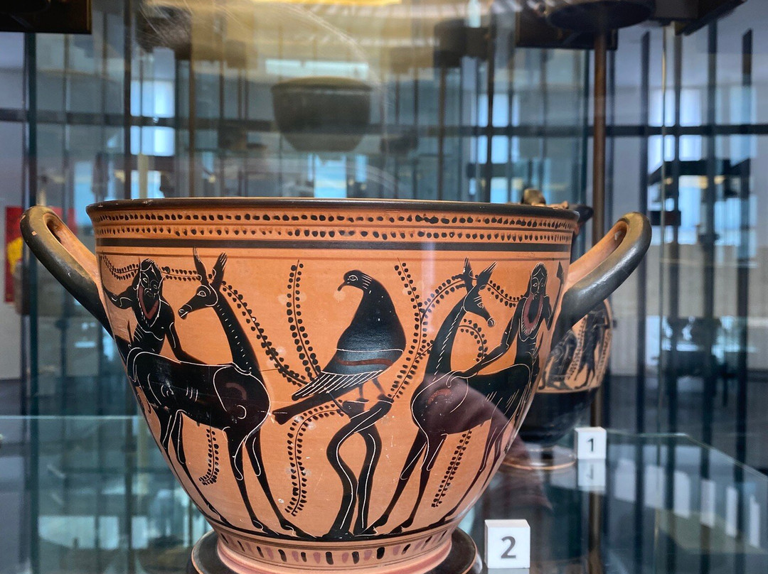Museo Sigismondo Castromediano-莱切必去景点