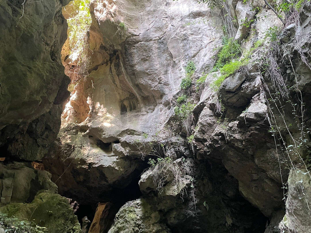 Parco Forra Del Tinazzo-Castro必去景点