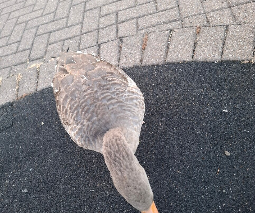 Premier Inn Ashington Hotel主图