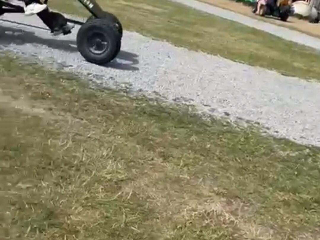Farm Fun-阿贝克必去景点