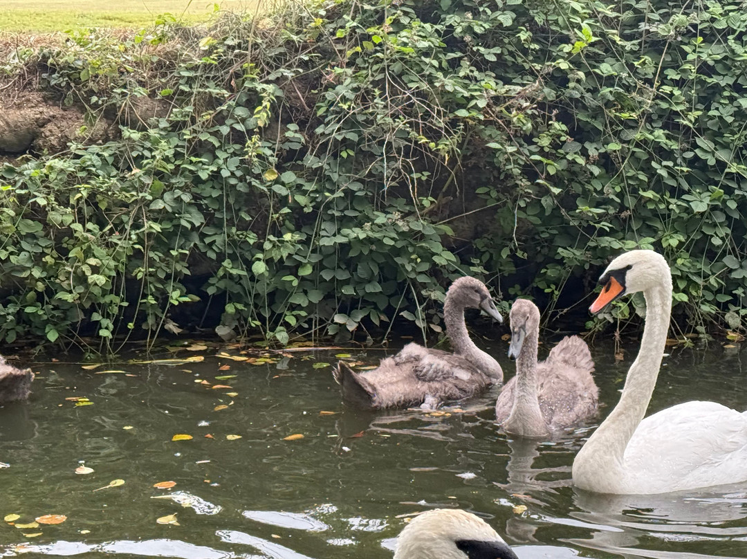 Tonbridge River Trips-汤布里奇必去景点