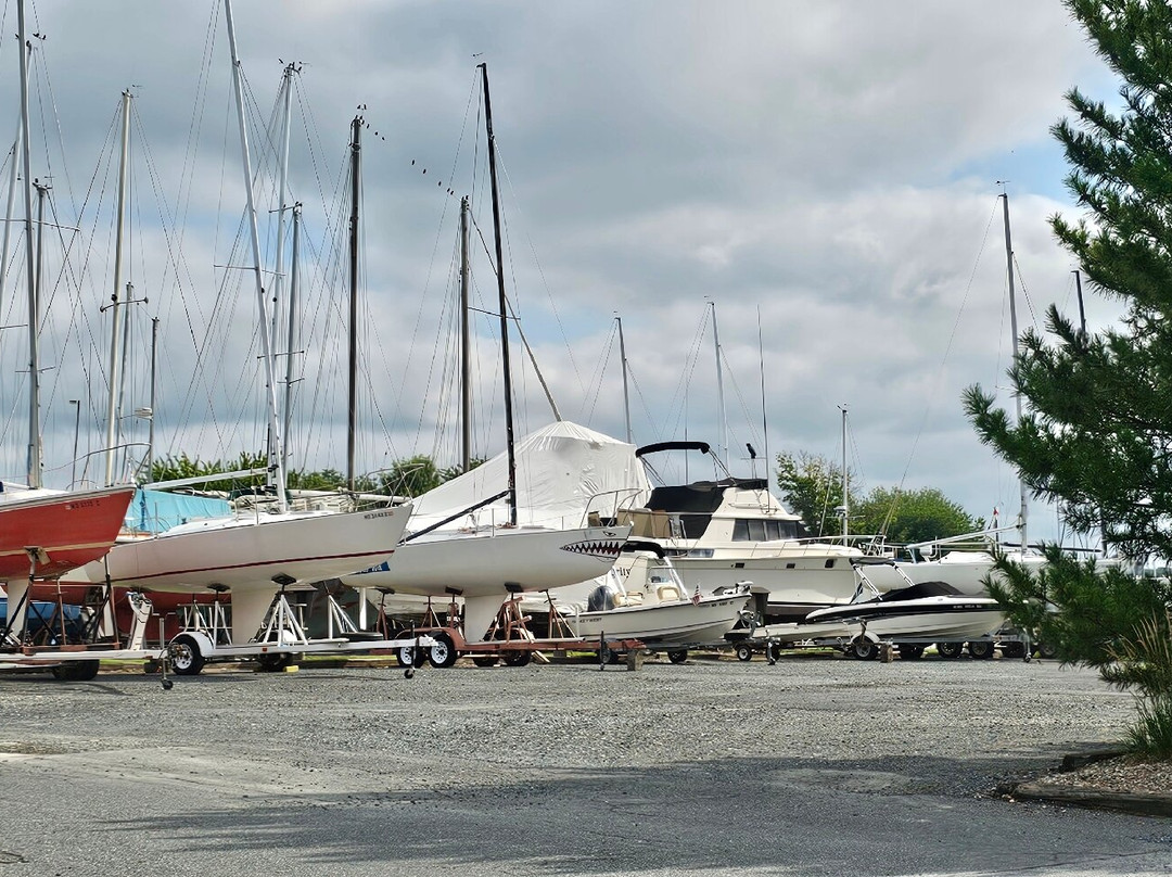 Tidewater Marina-Havre de Grace必去景点