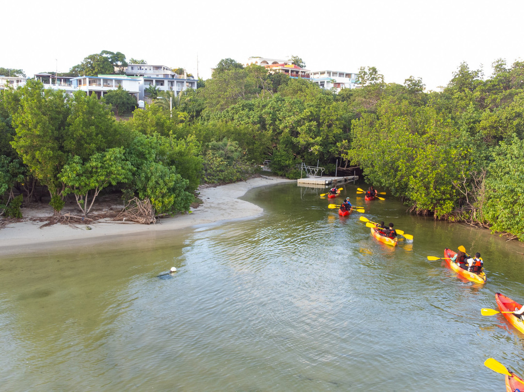 Puerto Rico Bio Bay Tours LLC-法哈多必去景点
