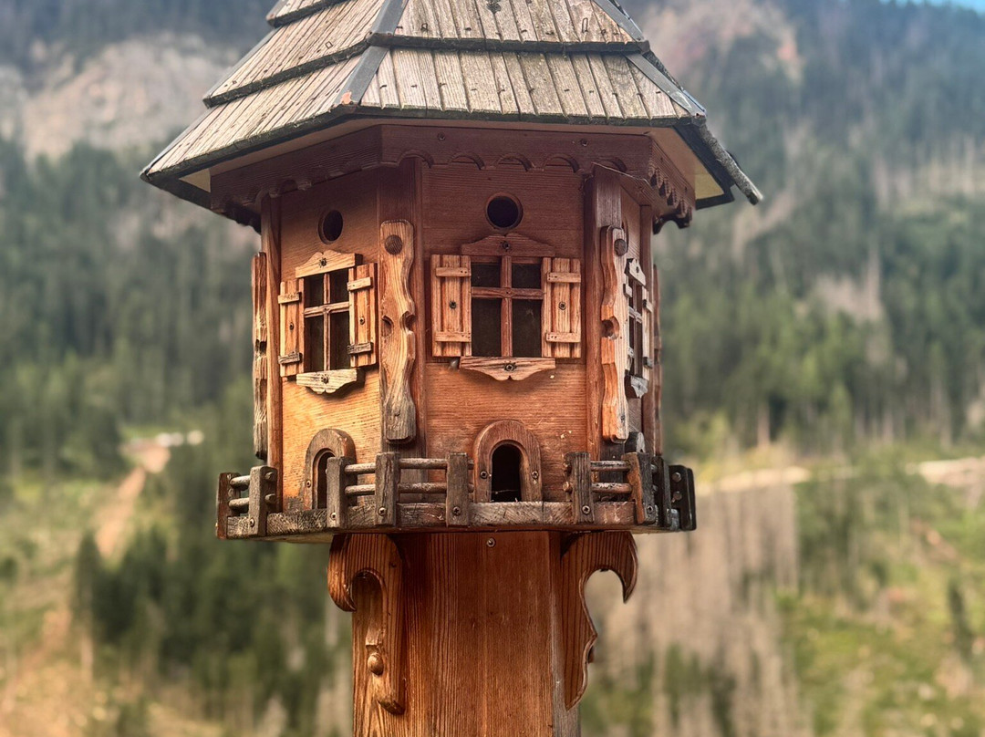 Hotel Chalet La Palsa主图