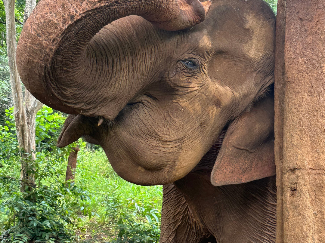 Mondulkiri Project-森莫诺隆必去景点