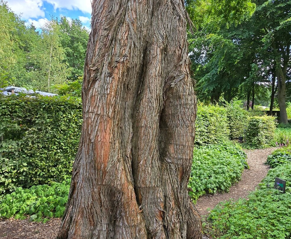 De Luie Tuinman-Ruinen必去景点