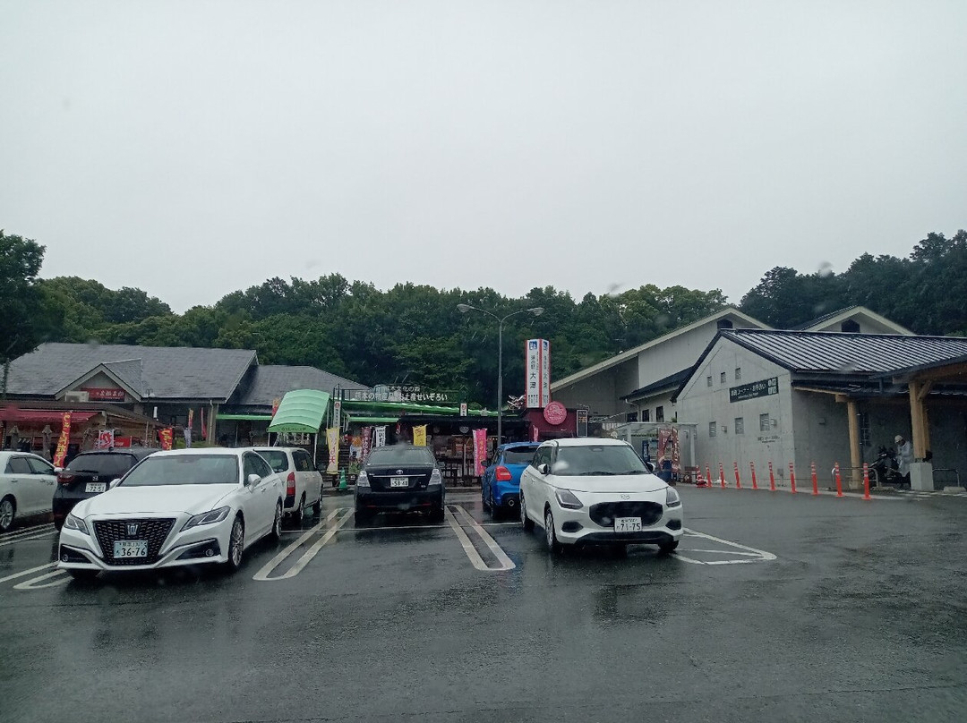 Michi-no-Eki Ozu-大津町必去景点