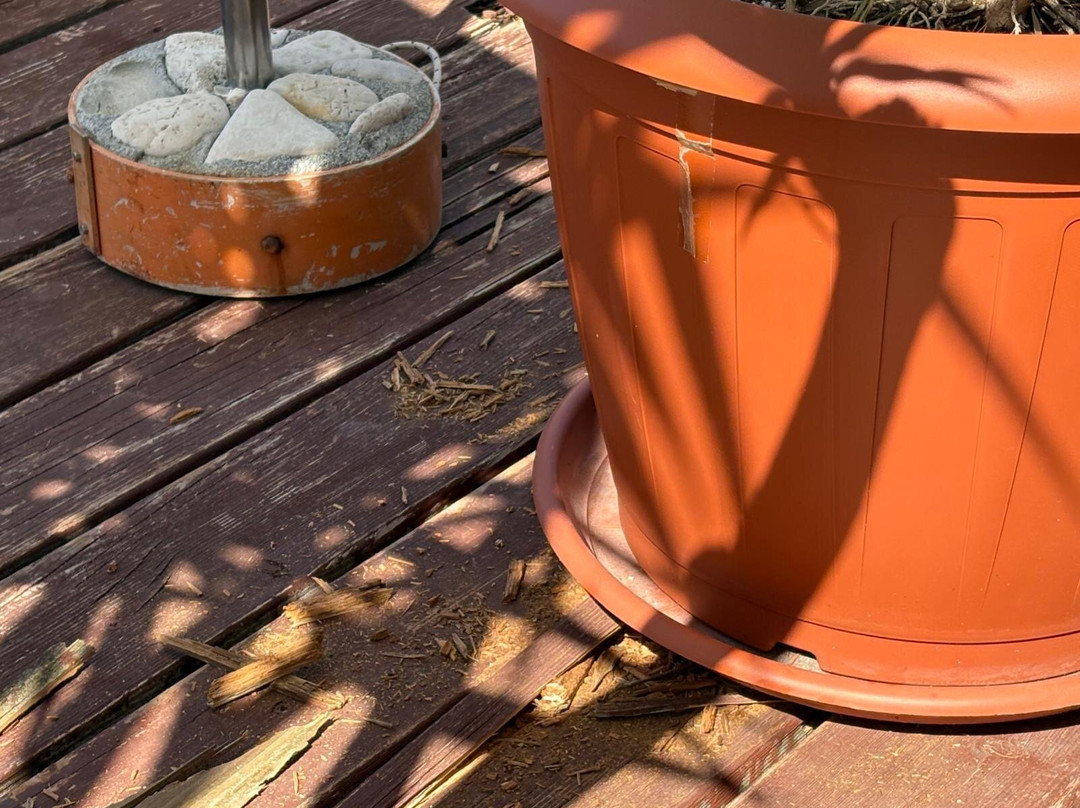 Irante-苏佩塔尔必去景点