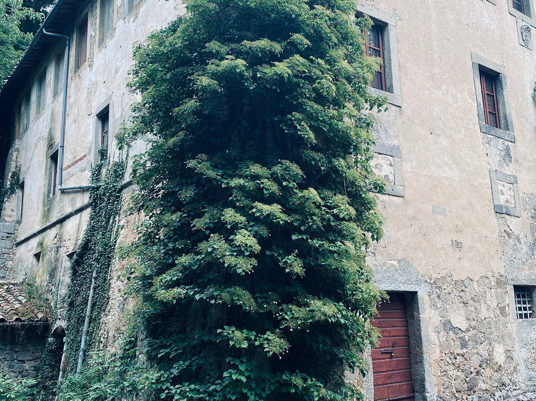 Contea Dell'eremo E Palazzo Cervini-Vivo d'Orcia必去景点