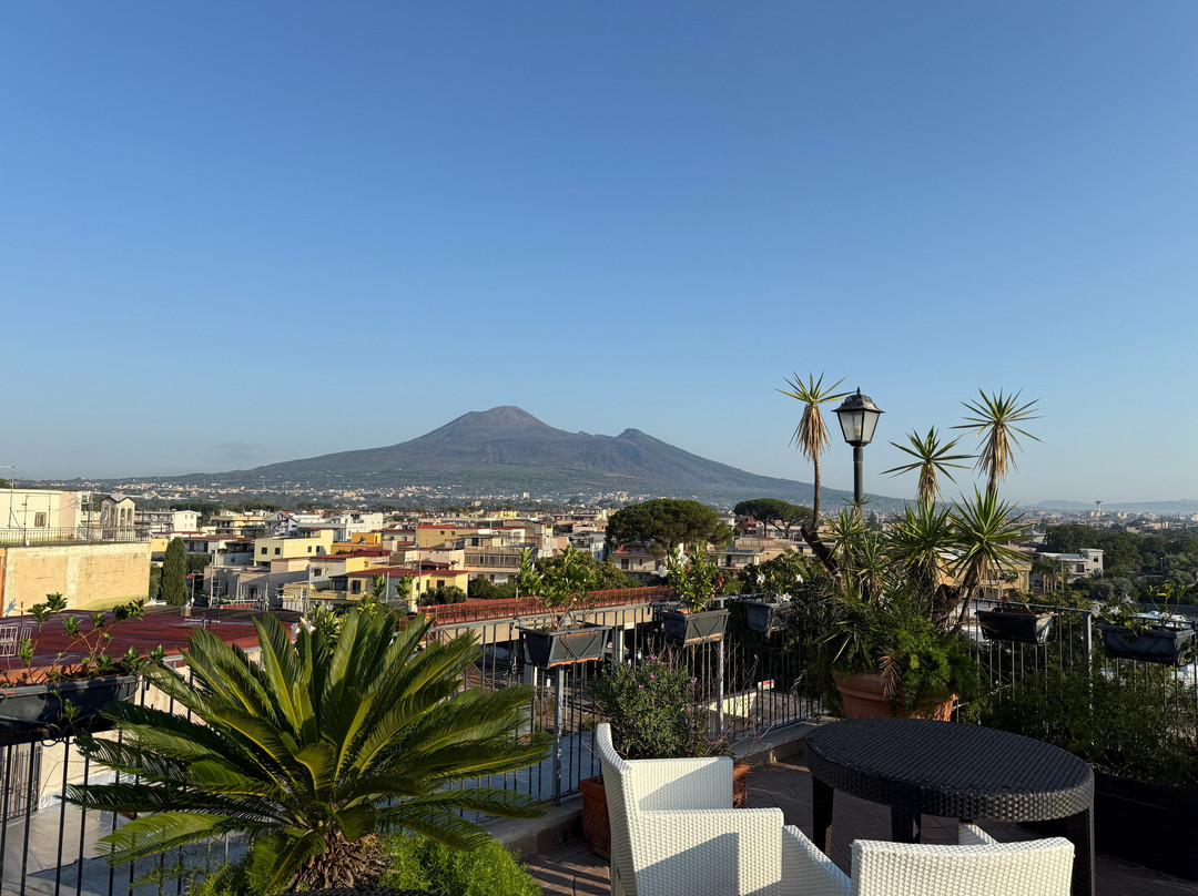 帕尔马酒店主图