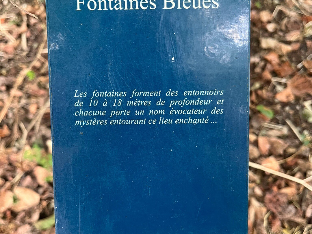 Chateau de Beaulon-Saint-Dizant-du-Gua必去景点