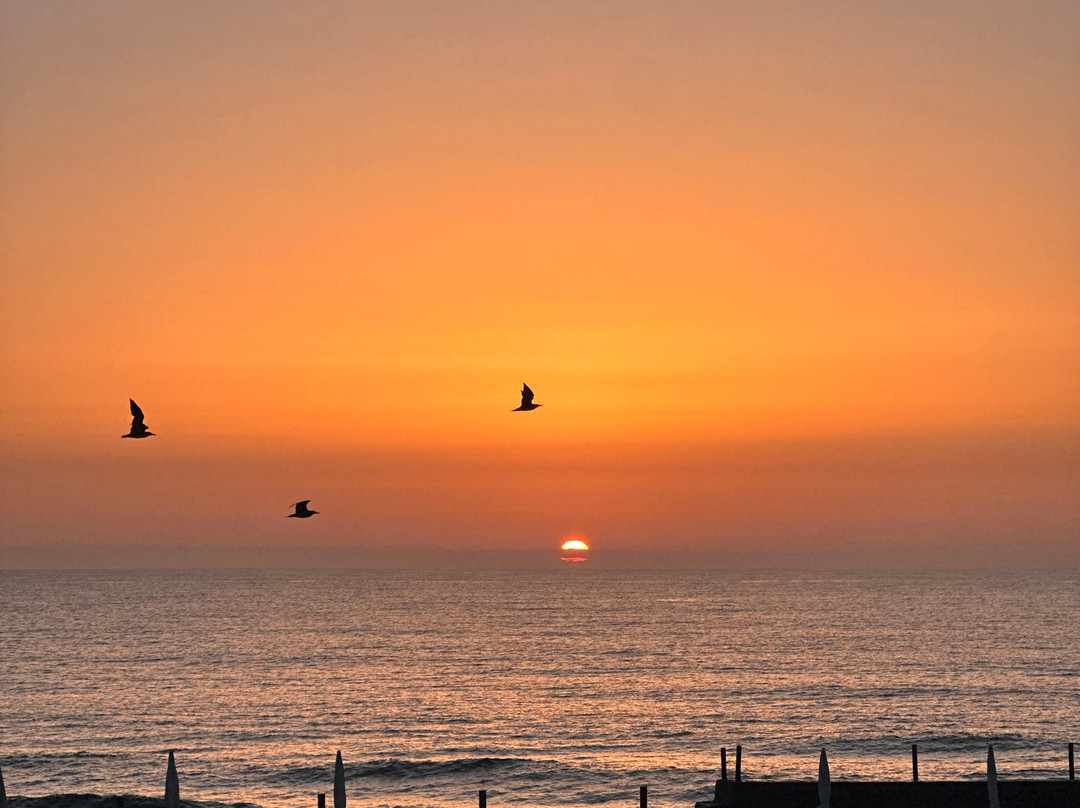 Arribas Sintra Hotel主图