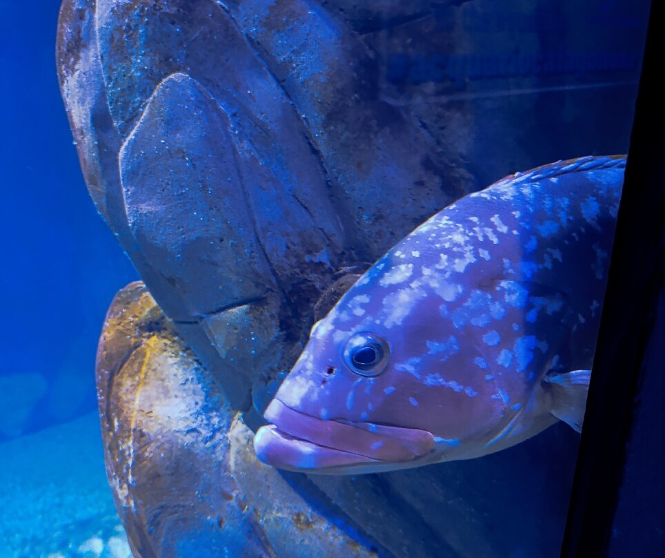 Acquario Cala Gonone-Dorgali必去景点