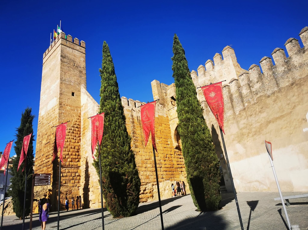 Alcazar de la Puerta de Sevilla-卡莫纳必去景点